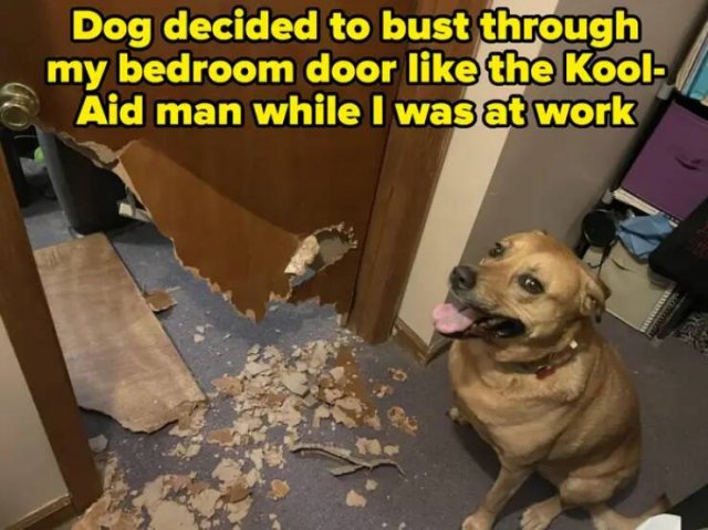 Funny Fails (17 pics)