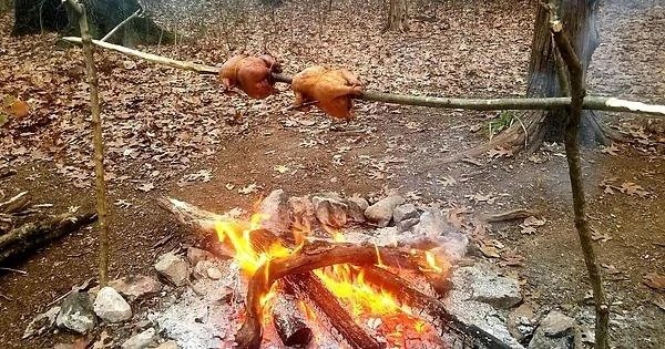 Photos For Bushcraft Fans (23 pics)