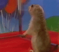 Random Facts (15 gifs) Random Facts (15 gifs)