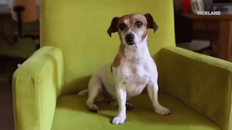 Weird Thoughts (14 gifs) Weird Thoughts (14 gifs)
