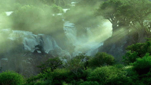 Random Facts (15 gifs) Random Facts (15 gifs)