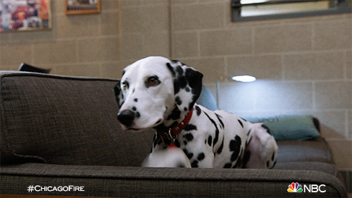 Weird Thoughts (14 gifs) Weird Thoughts (14 gifs)