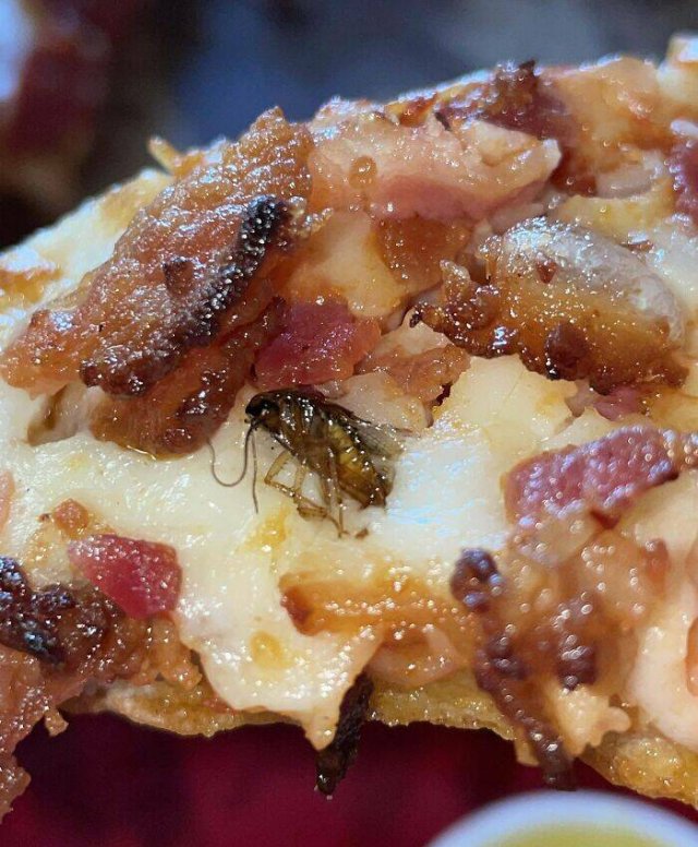 Strange Finds In Food (25 pics)