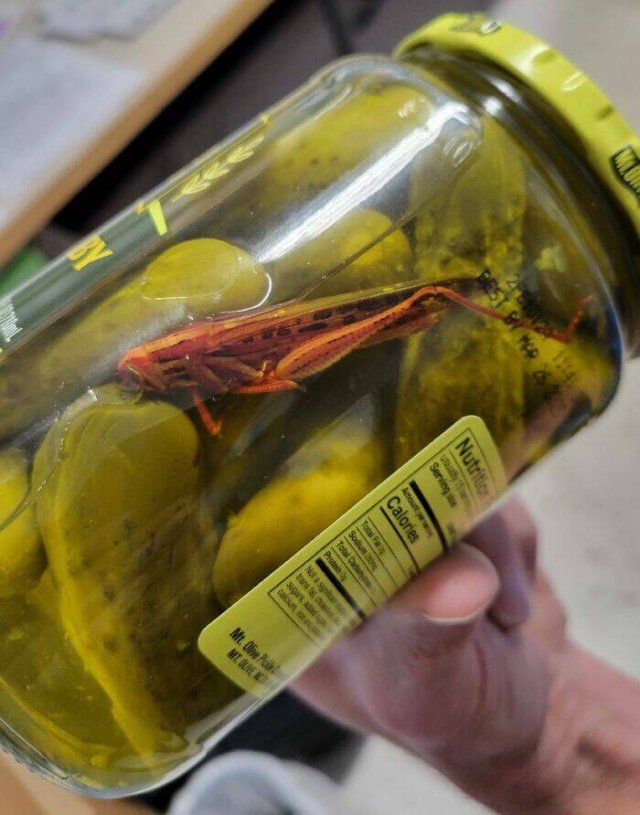 Strange Finds In Food (25 pics)