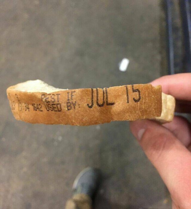 Strange Finds In Food (25 pics)
