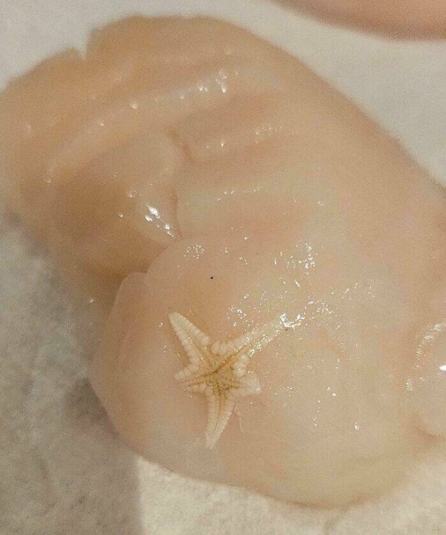 Strange Finds In Food (25 pics)