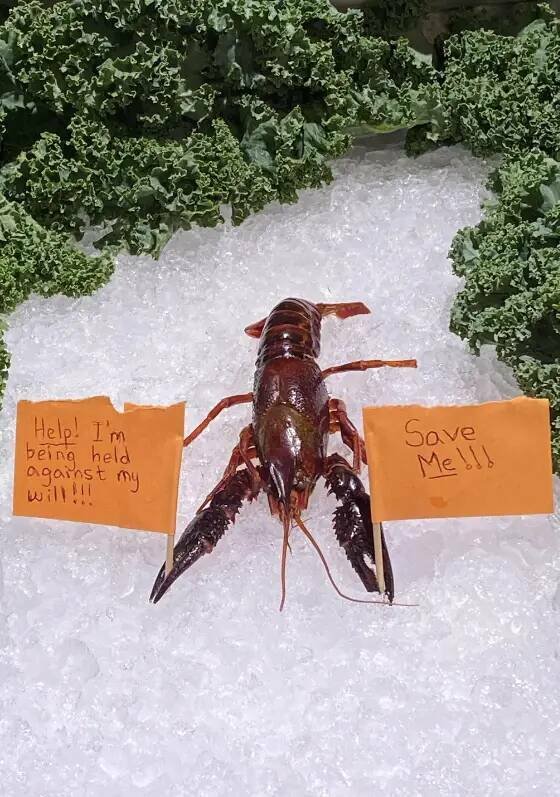 Funny Signs (17 pics)