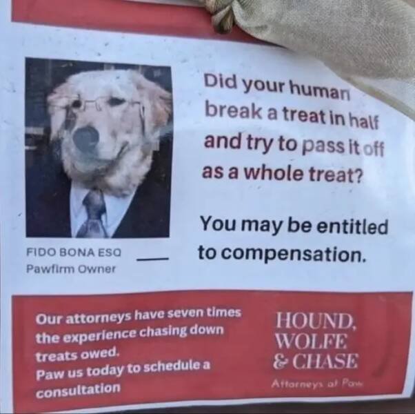 Funny Signs (17 pics)