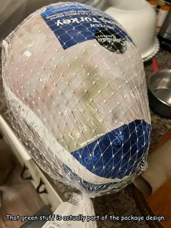 Failed Designs (21 pics)