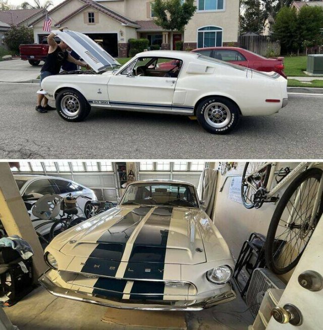 Cool And Unexpected Inheritance (25 pics)