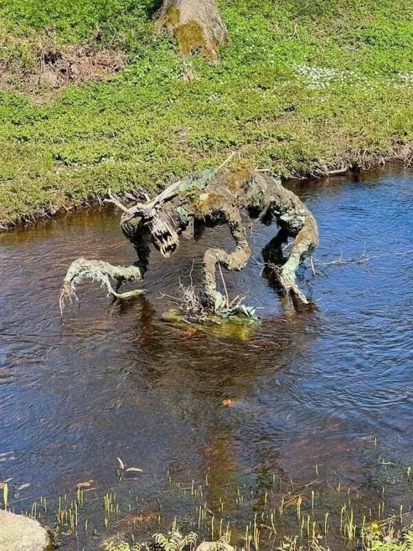 Scary Photos (21 pics)