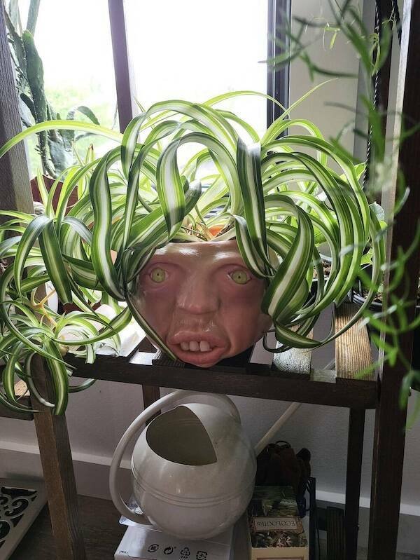 Scary Photos (21 pics)