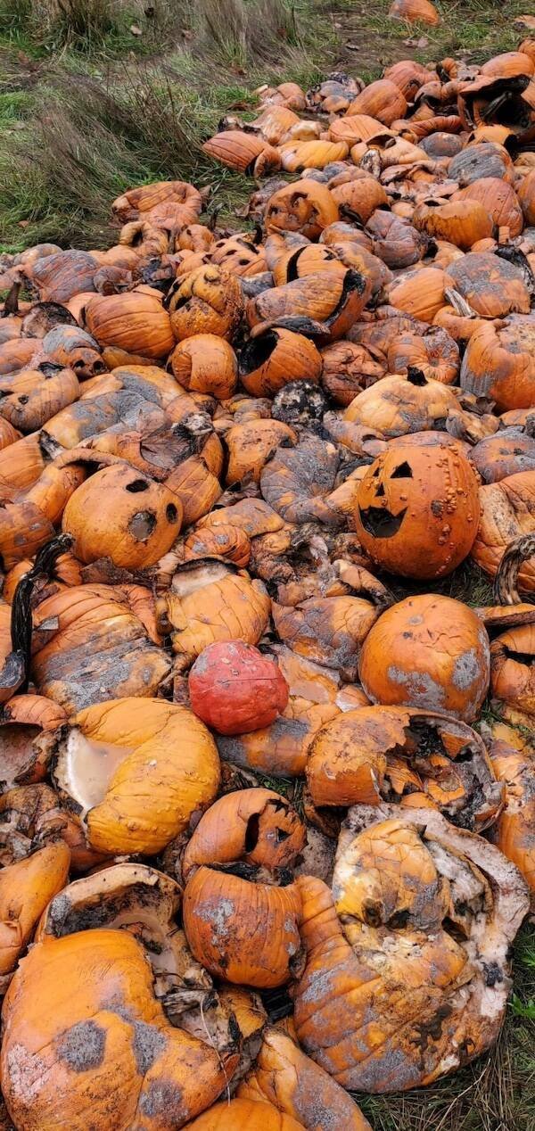 Scary Photos (21 pics)