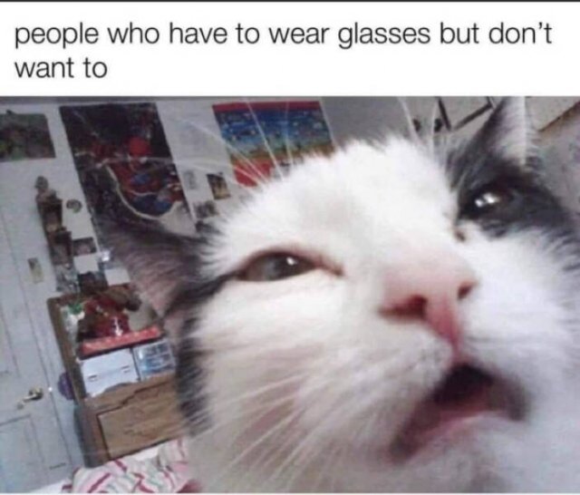 Funny Memes (22 pics)