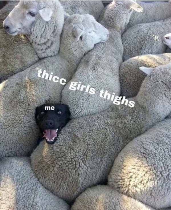 Funny Memes (22 pics)