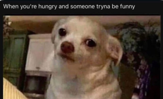 Funny Memes (22 pics)