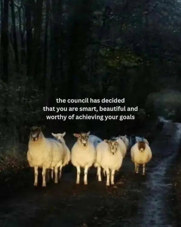 Motivational Pictures (28 pics)
