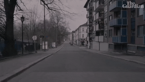 Creepy Facts (15 gifs)