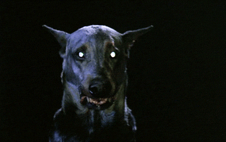 Creepy Facts (15 gifs)