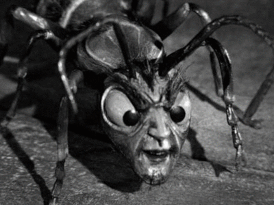 Creepy Facts (15 gifs)