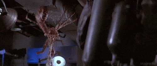 Creepy Facts (15 gifs)