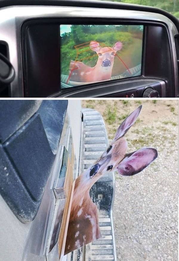 Annoying People And Situations (19 pics)