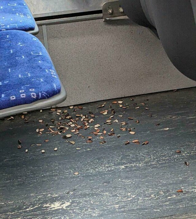 Annoying People On Public Transport (24 pics)