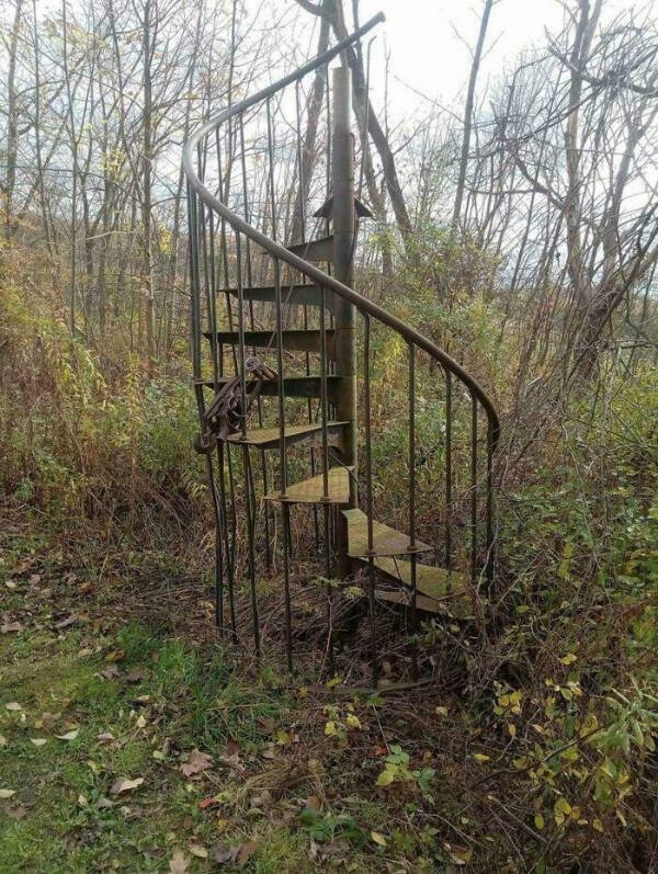 Creepy Finds (24 pics)
