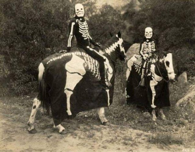 Creepy Finds (24 pics)
