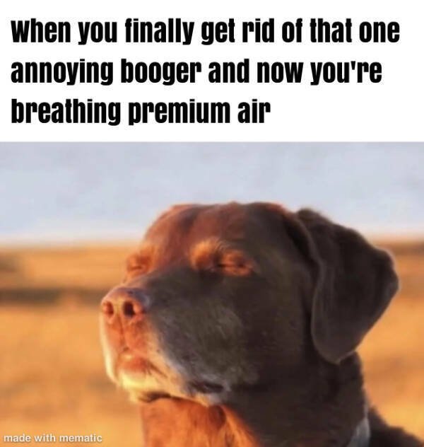 Funny Memes (19 pics)