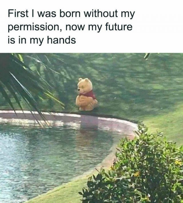 Jokes About Mental Health (25 pics)