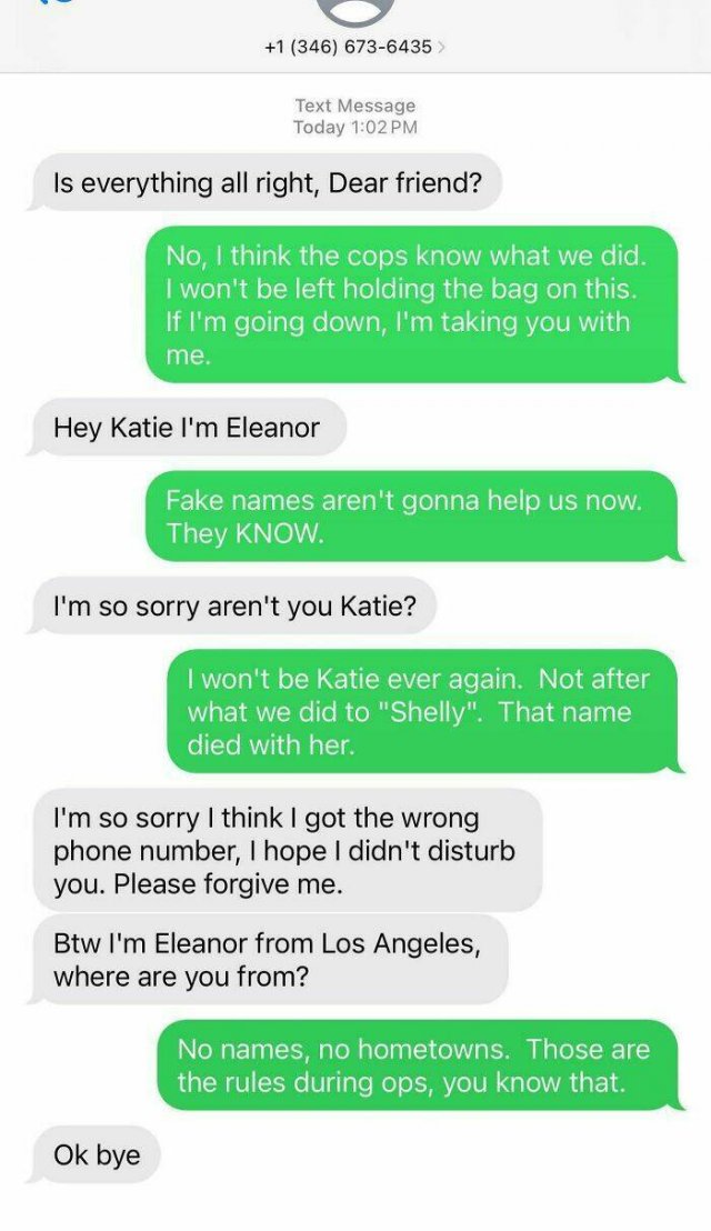 Failed Messages From Scammers (16 pics)