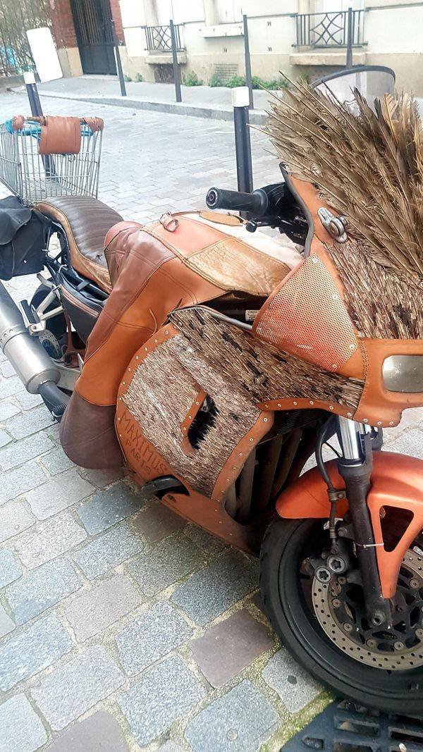 What Is Going On Here? (23 pics)