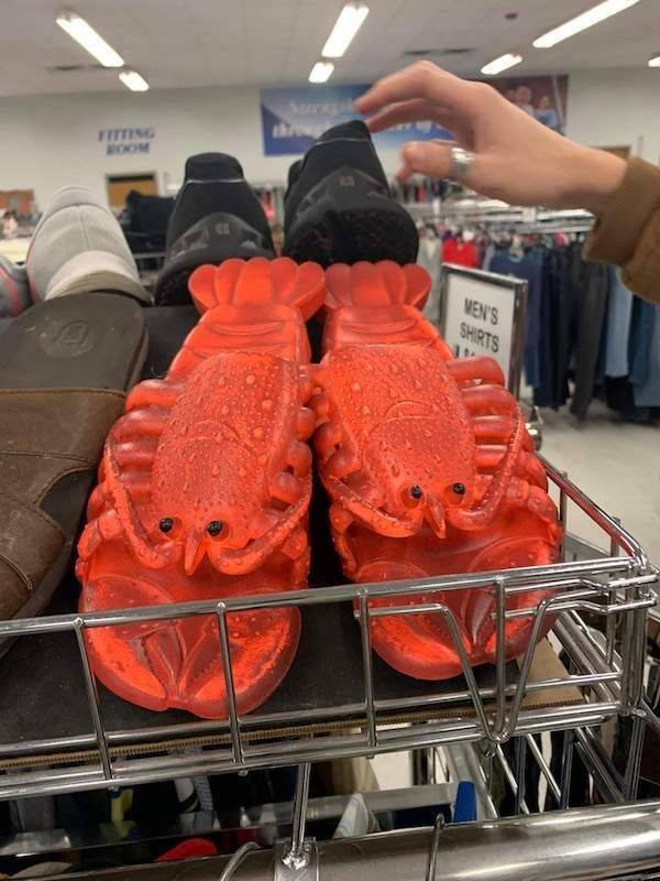 What Is Going On Here? (23 pics)