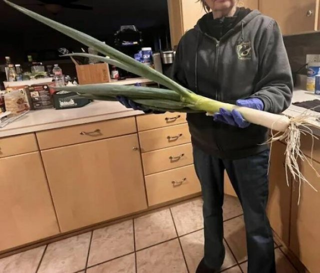 Giant Things (18 pics)