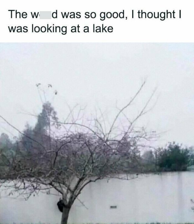 Epic Fails (21 pics)