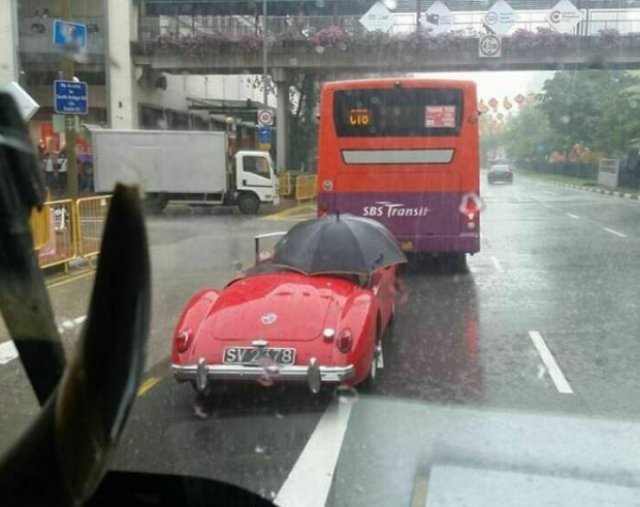 Unexpected Meetings On The Roads (25 pics)