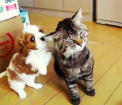 Underrated Moments In Daily Life (18 gifs) Underrated Moments In Daily Life (18 gifs)