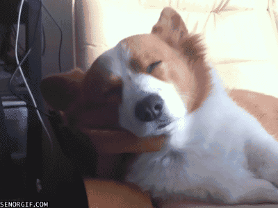 Underrated Moments In Daily Life (18 gifs) Underrated Moments In Daily Life (18 gifs)