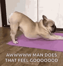 Underrated Moments In Daily Life (18 gifs) Underrated Moments In Daily Life (18 gifs)