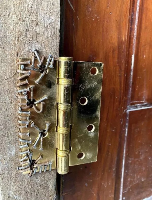 What Is Going On Here? (29 pics)
