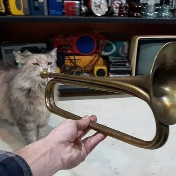 What Is Going On Here? (29 pics)