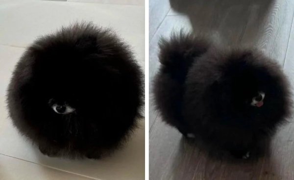 What Is Going On Here? (29 pics)