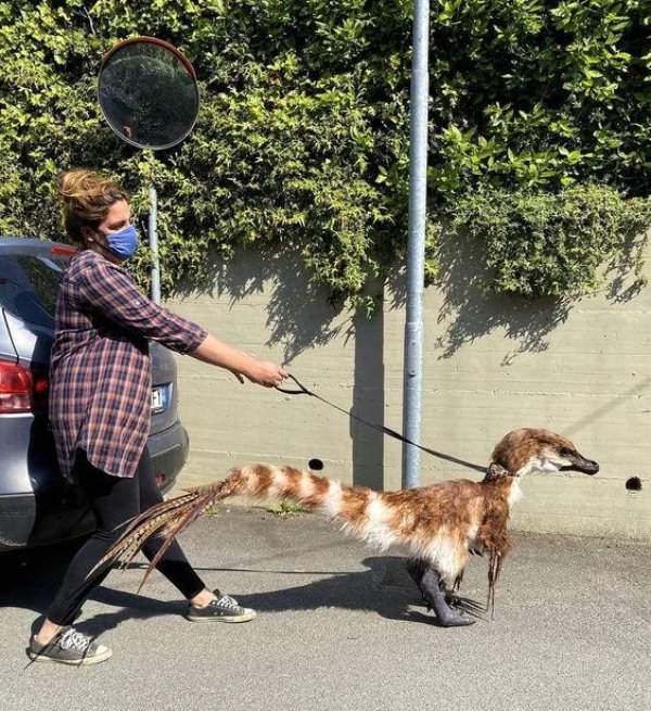 What Is Going On Here? (29 pics)