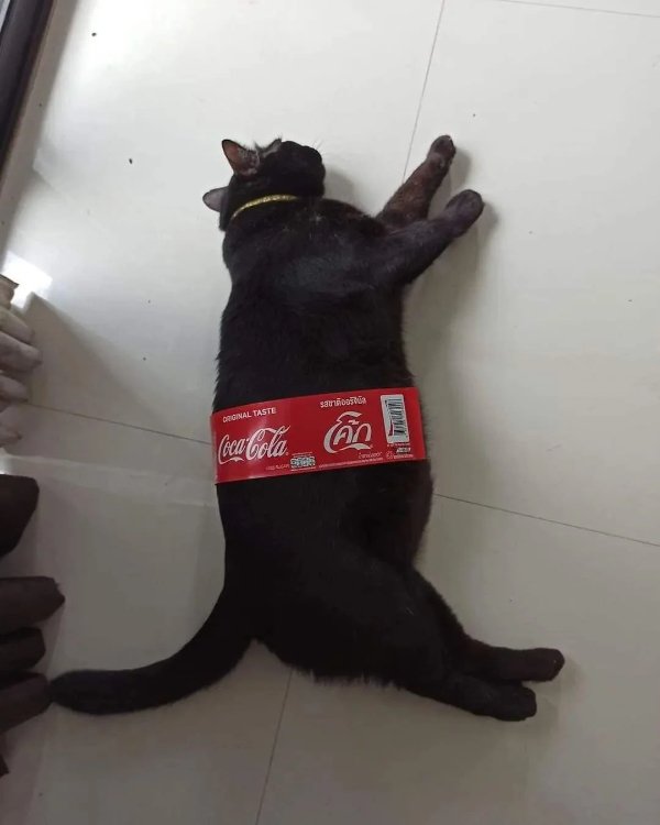 What Is Going On Here? (29 pics)