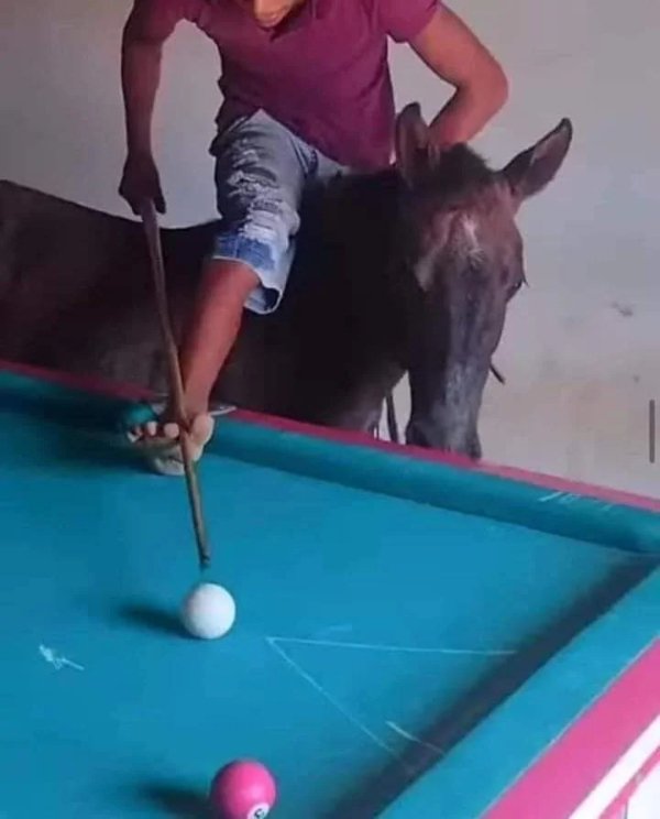 What Is Going On Here? (29 pics)