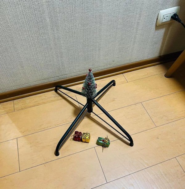 What Is Going On Here? (29 pics)