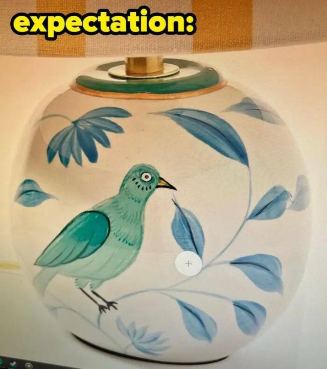 Expectations Against Reality (19 pics)