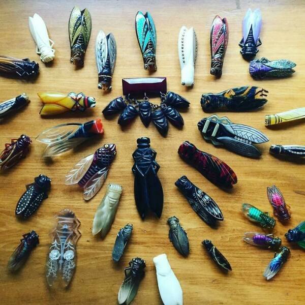 Impressive Collections (25 pics)