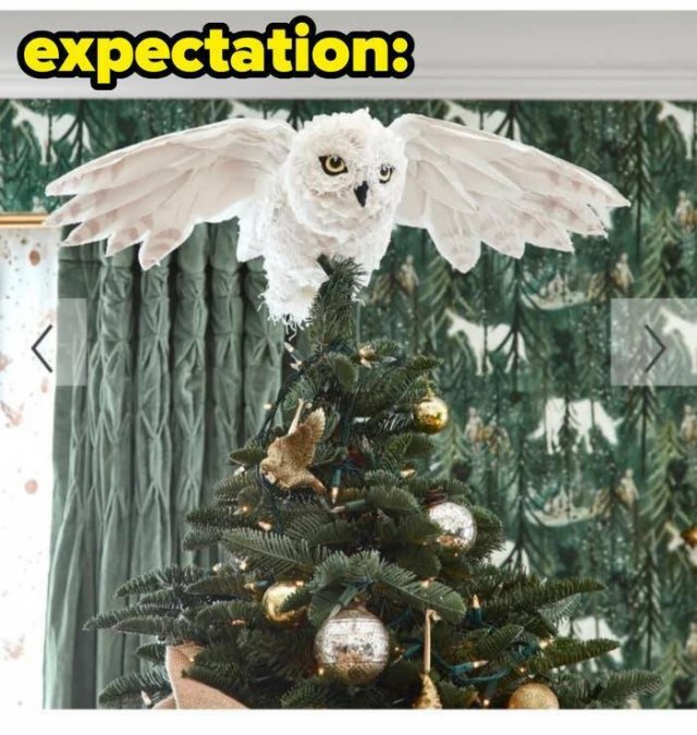 Expectations Against Reality (19 pics)